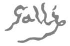 gallesig.jpg